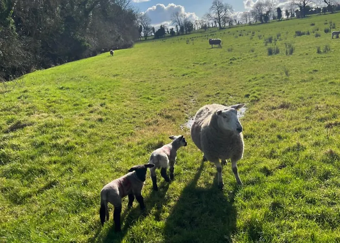 Country Retreat Near Emerald Park 公寓